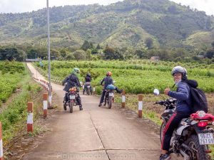 off-road tour swapped for sealed roads