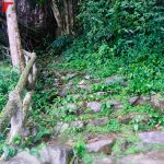 Bai Dai Waterfall footpath