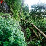 Bao Dai Waterfall moss covered