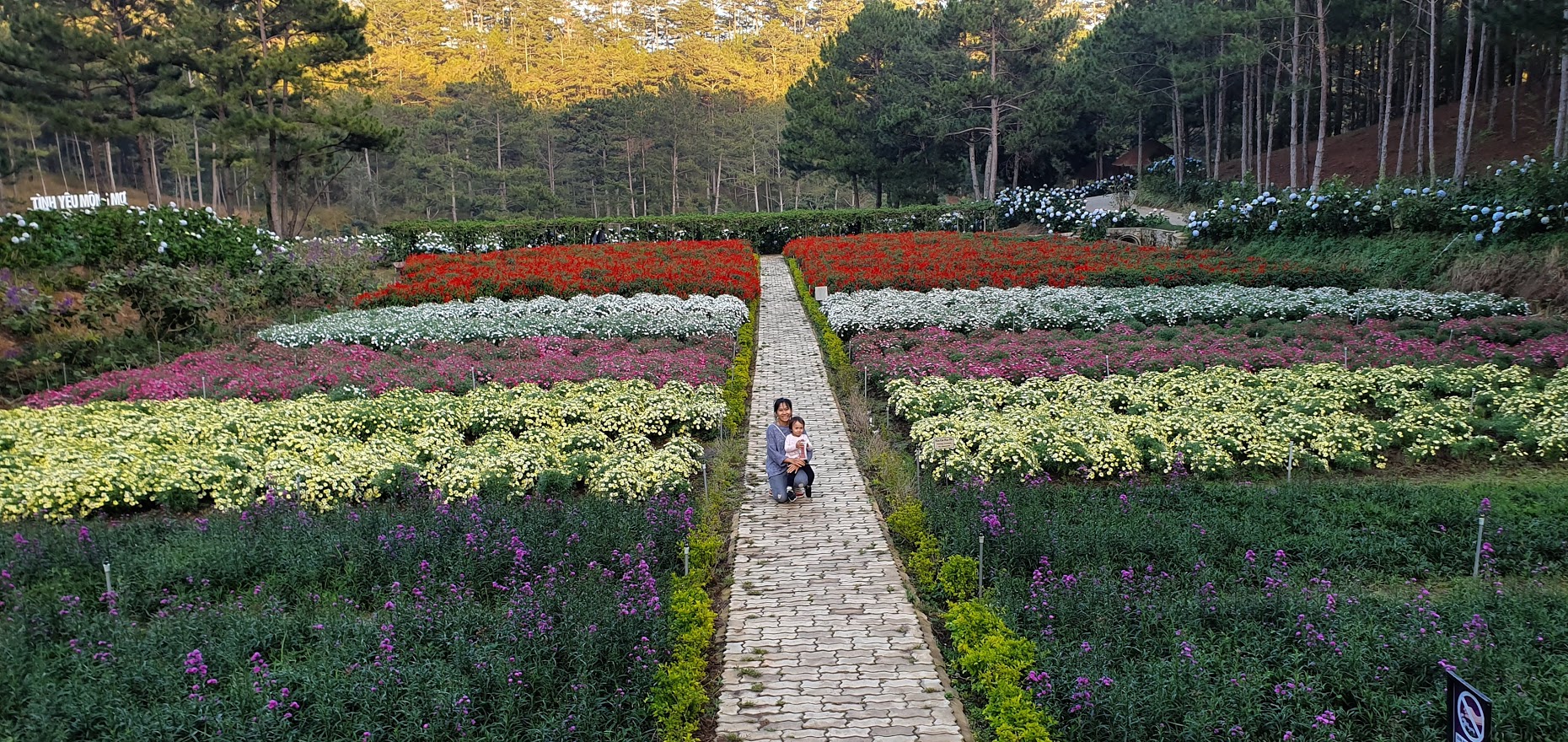 Dalat Valley of Love
