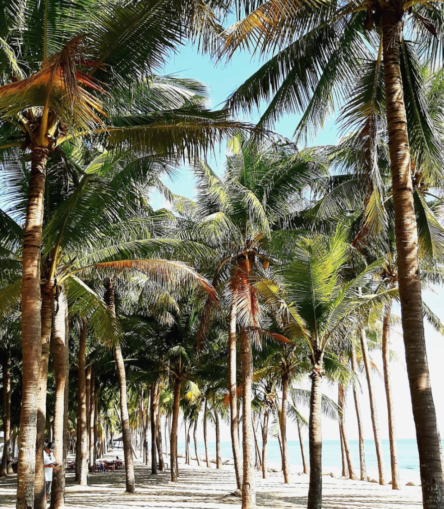 Cua Dai Beach, Hoi An