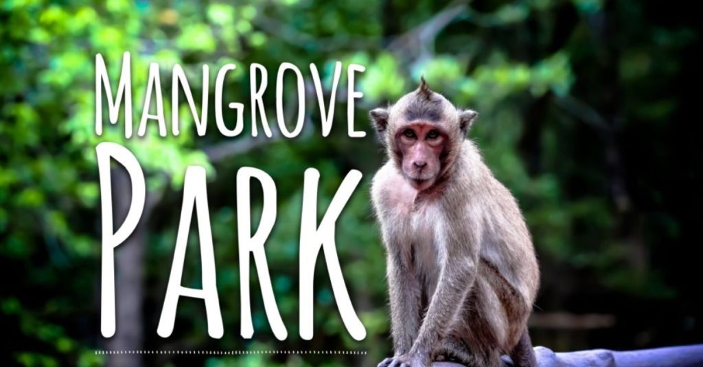 Mangrove Park