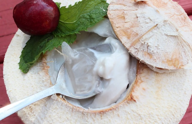 Coconut Jelly Coconut Jelly