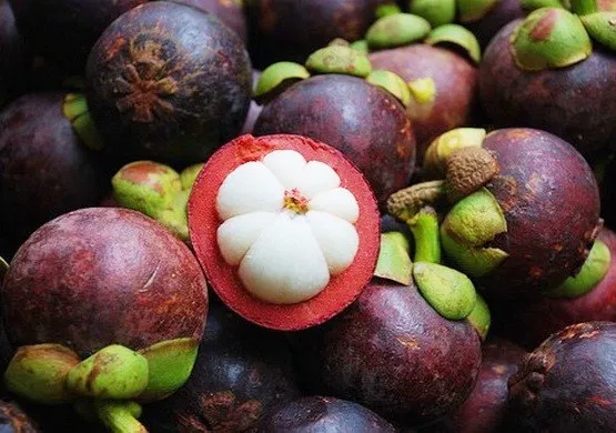 Mangosteen Mangosteen