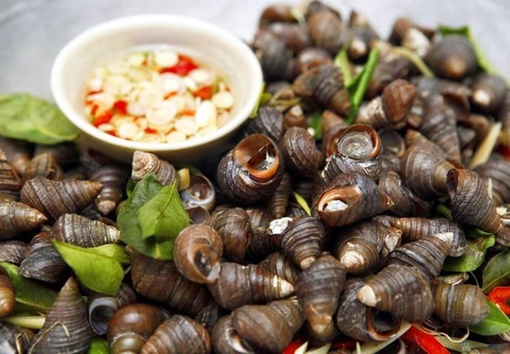 Snails Snails