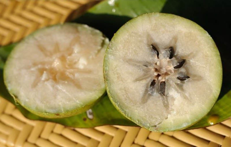 Star apple