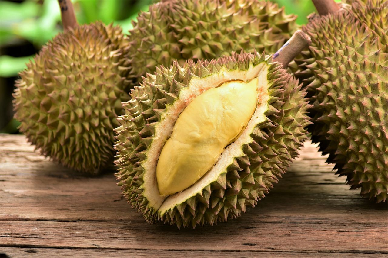 Durian Durian