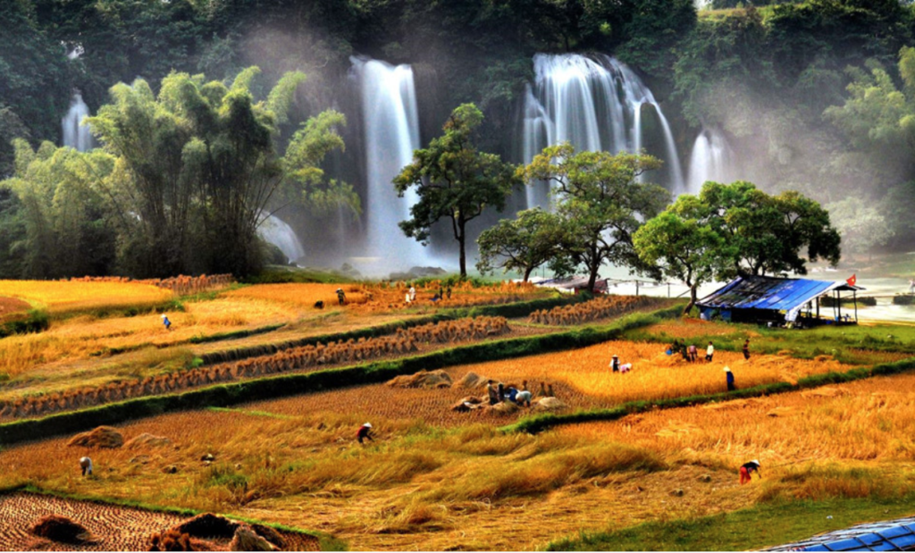 Ban Gioc Waterfall- Ha Giang