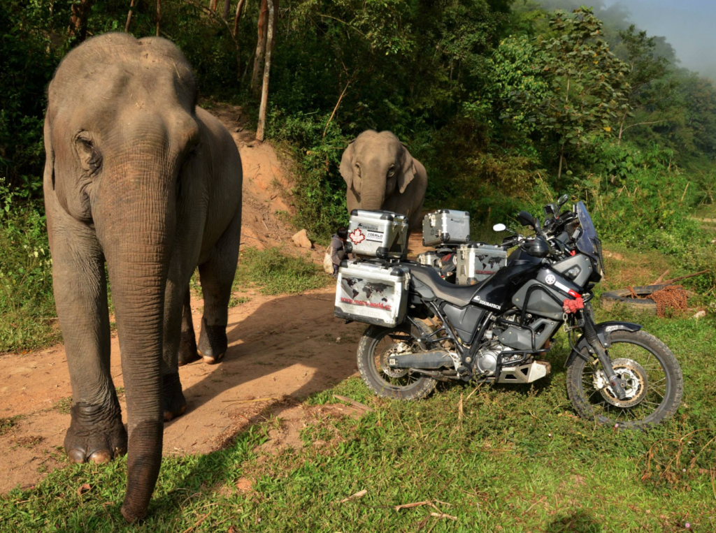 Elephant & Motorcycle Thailand