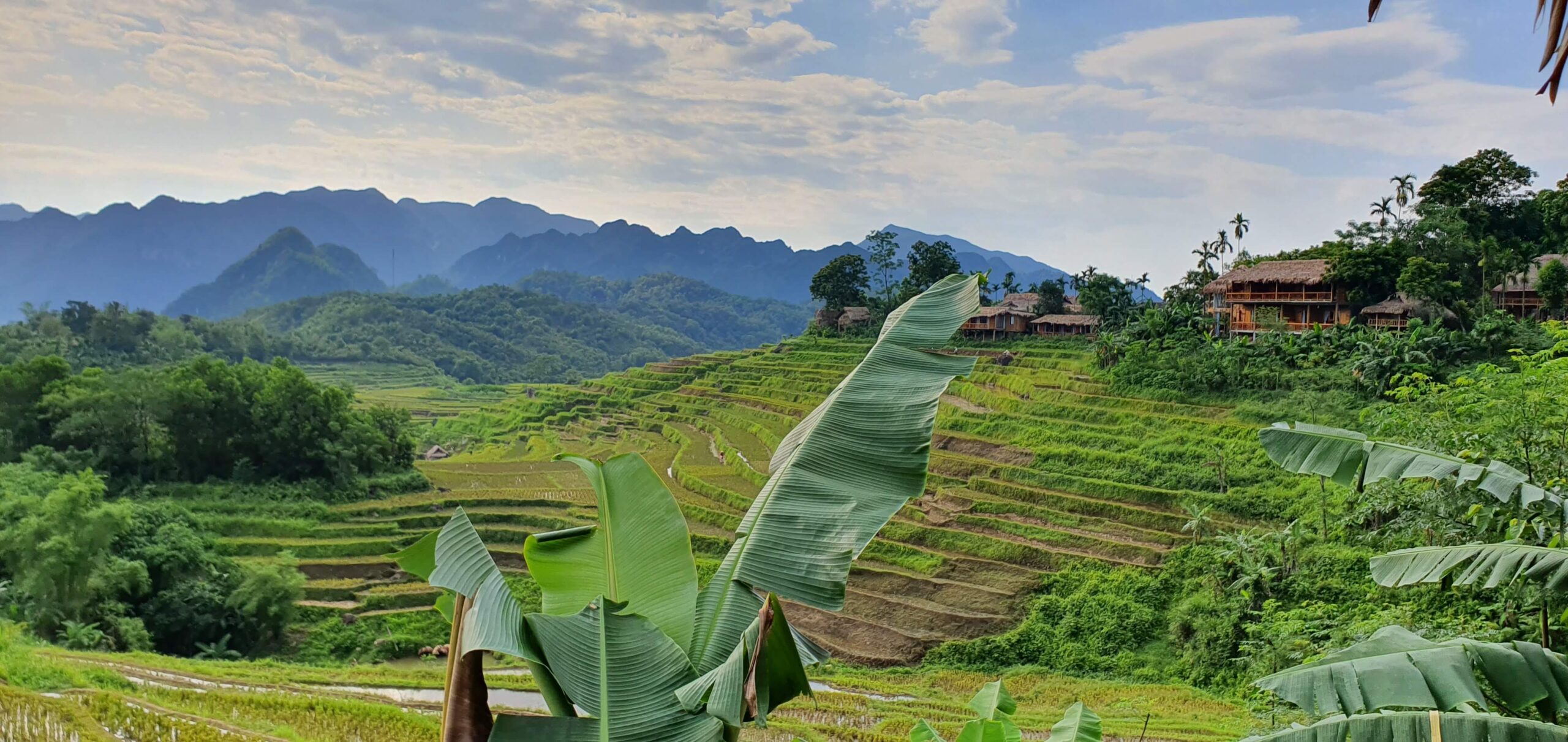 Pu Luong Weather