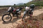 Why the Honda XR 150 is the best motorbike in Vietnam