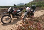 Why the Honda XR 150 is the best motorbike in Vietnam